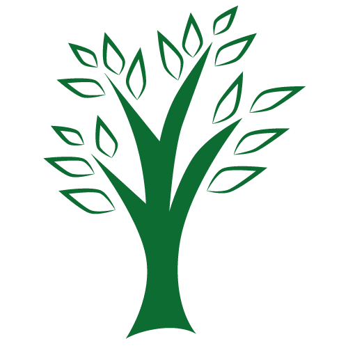 personal transformation events green tree icon