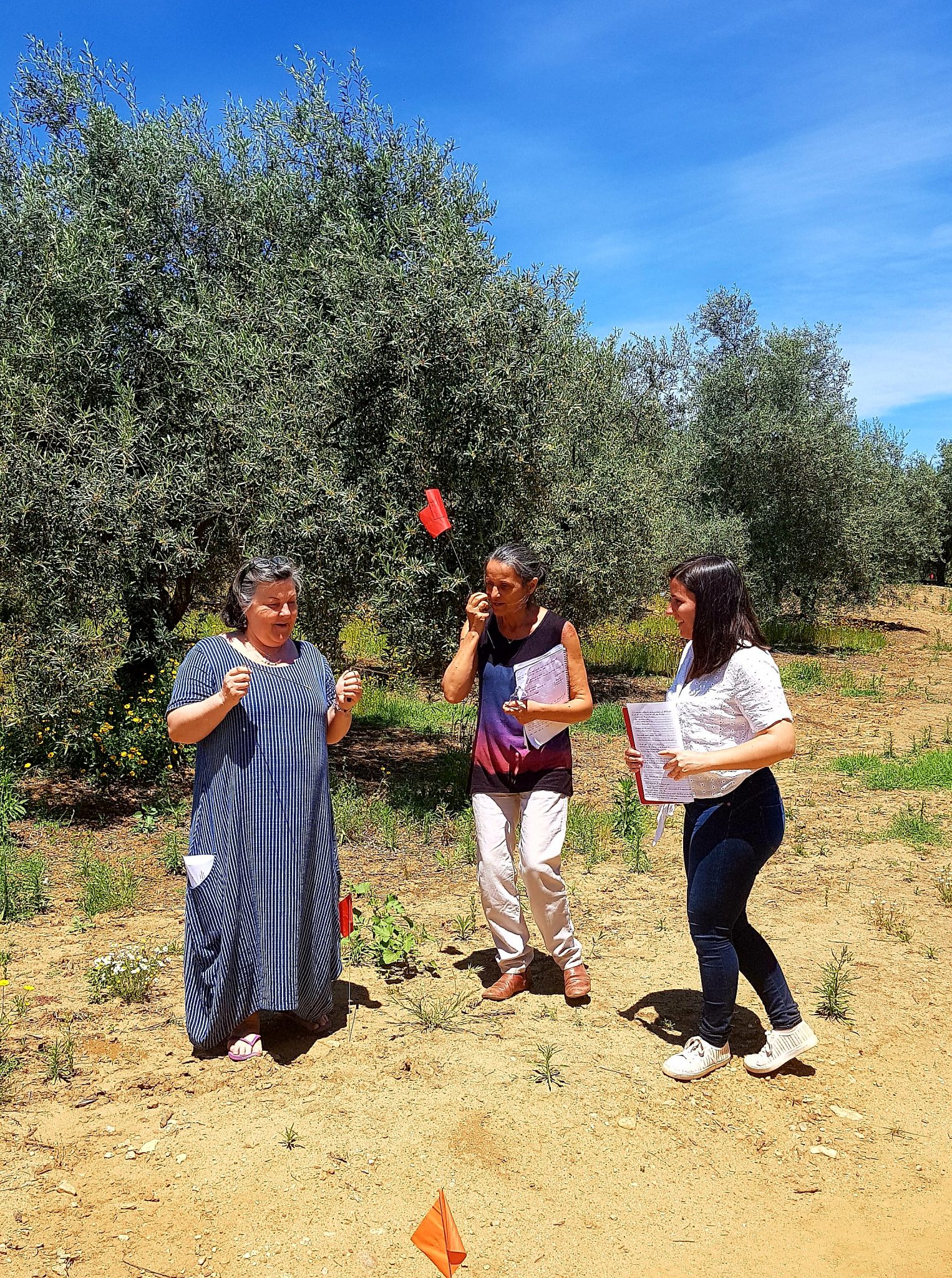 Dowsing & earth healing in Portugal Fire Horse