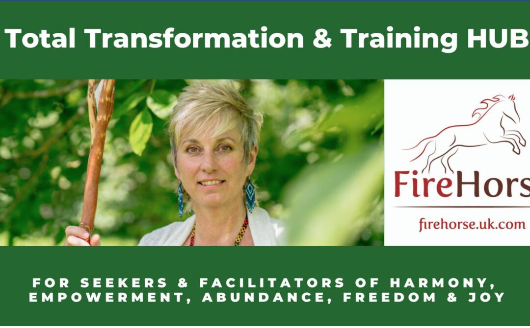 Total Transformation & Training Hub – my new facebook group