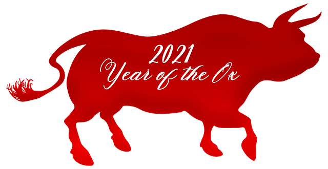 Happy New Year of the Metal Ox!